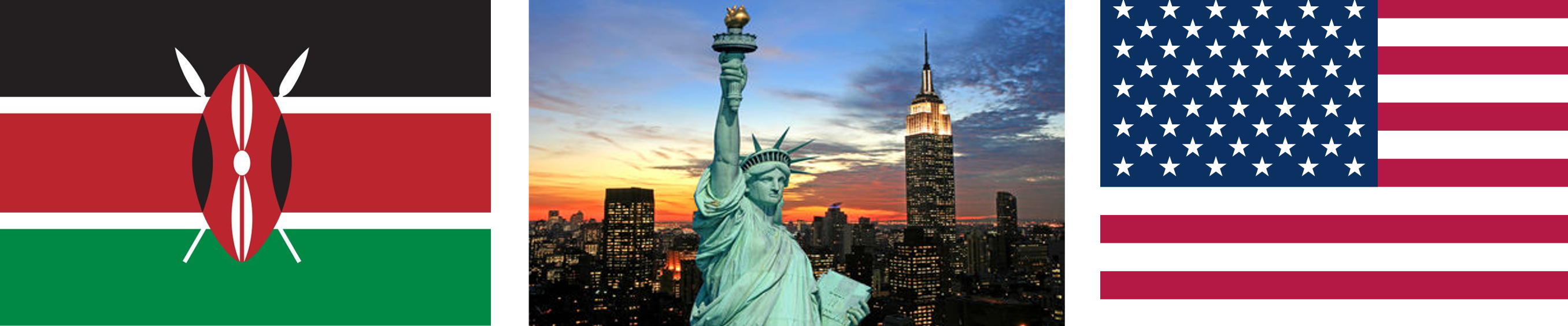 US Visa Application Assistance